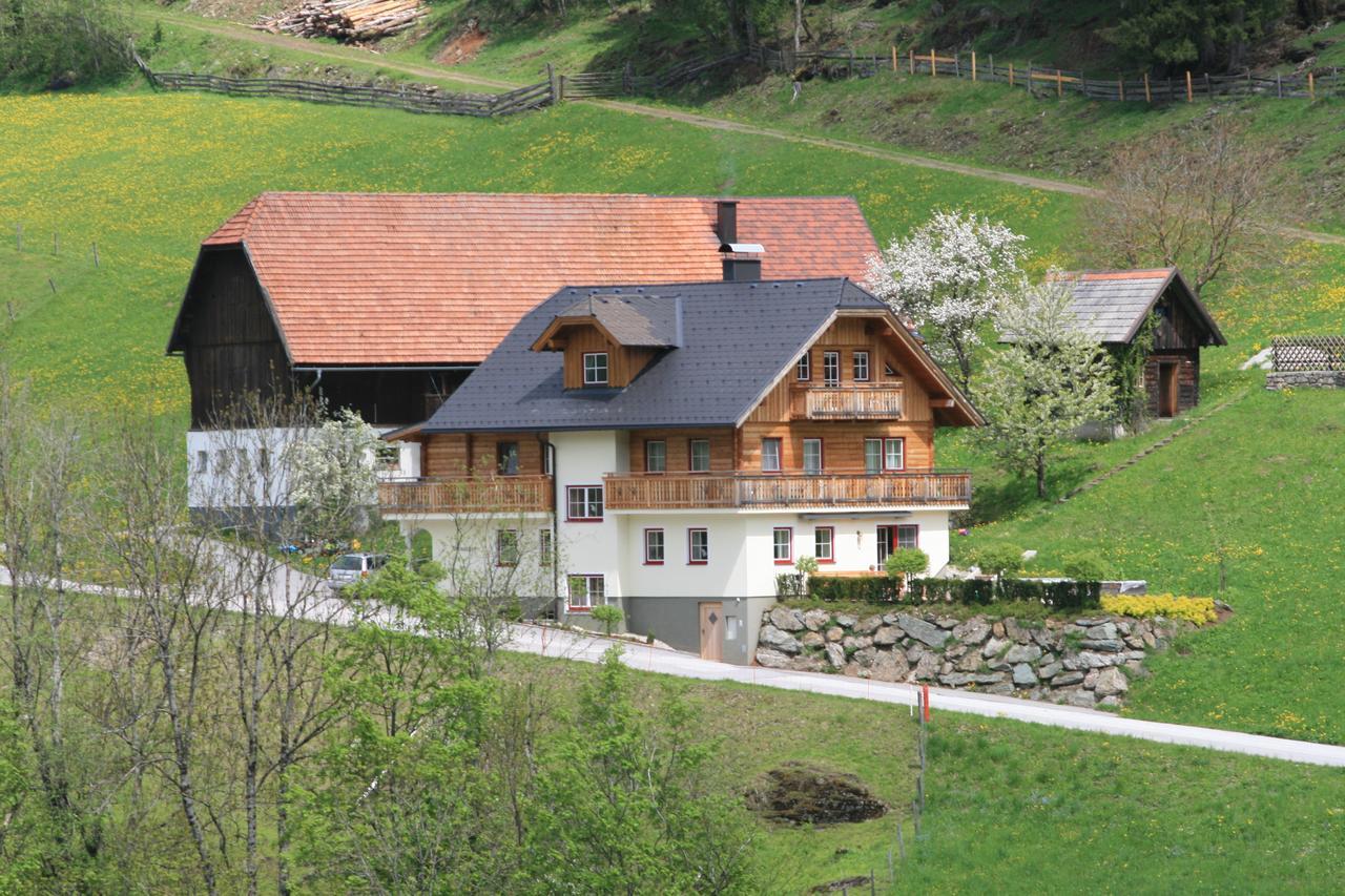 Appartement Steinacher Schladming Bagian luar foto